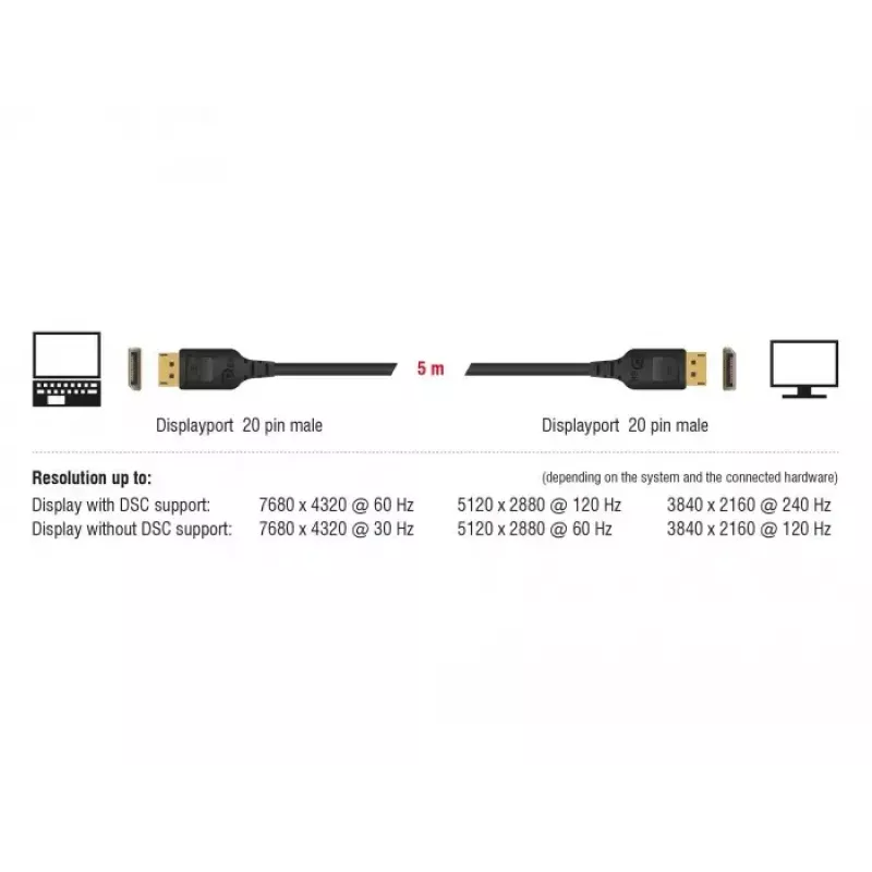 Cable DisplayPort DeLOCK 85663 5 m negro