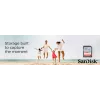 WESTERN DIGITAL SanDisk Ultra 32GB tarjeta de memoria SDHC Clase 10 UHS-I 120MB/s (SDSDUN4-032G-GN6IN)
