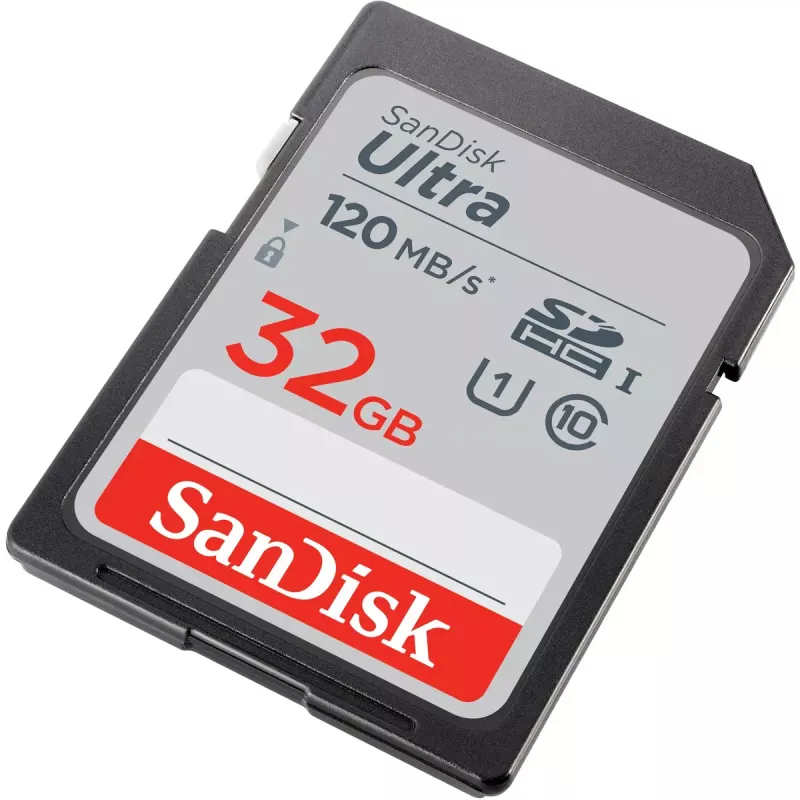 WESTERN DIGITAL SanDisk Ultra 32GB tarjeta de memoria SDHC Clase 10 UHS-I 120MB/s (SDSDUN4-032G-GN6IN)