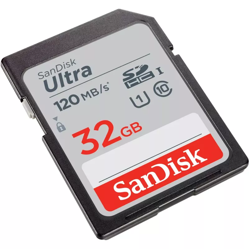WESTERN DIGITAL SanDisk Ultra 32GB tarjeta de memoria SDHC Clase 10 UHS-I 120MB/s (SDSDUN4-032G-GN6IN)