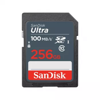 Memoria flash SanDisk 256 GB SDXC UHS-I Class 10 SDSDUNR-256G-GN3IN