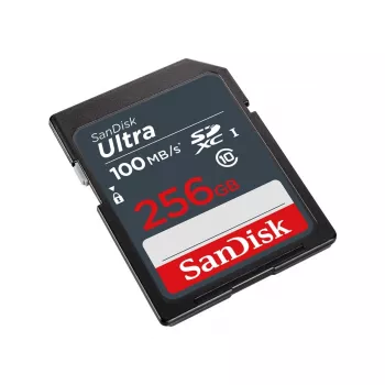 Memoria flash SanDisk 256 GB SDXC UHS-I Class 10 SDSDUNR-256G-GN3IN
