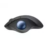 Ratón Logitech ERGO M575 para empresas RF Wireless + Bluetooth
