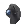 Ratón Logitech ERGO M575 para empresas RF Wireless + Bluetooth