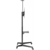 Soporte de presentación para TV Goobay TV Presentation Stand Pro Size L 50 kg 37 to 70 inch