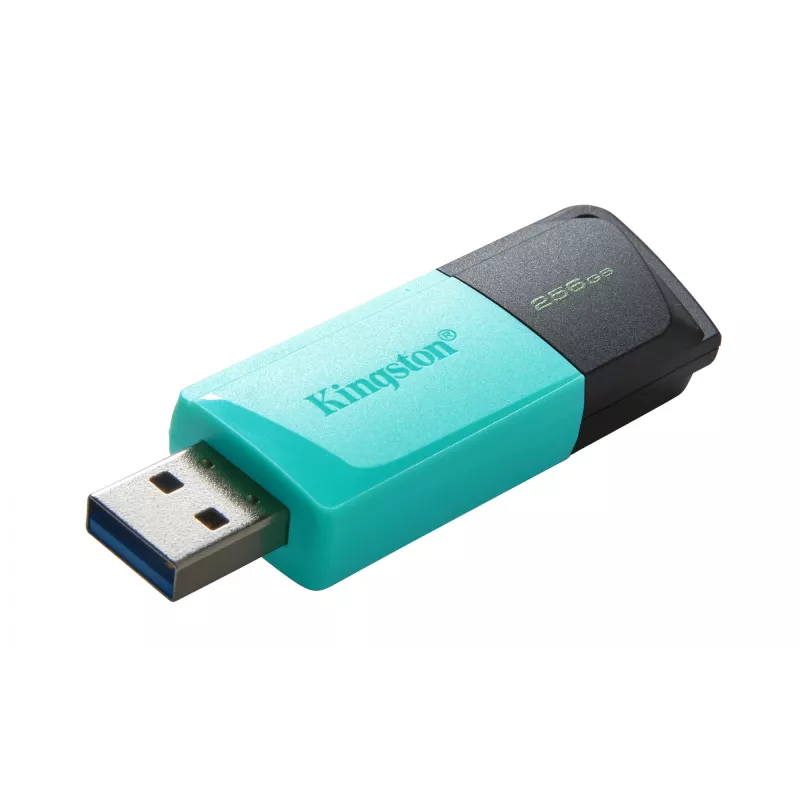 Kingston Technology DataTraveler 256GB USB3.2 Gen1 Exodia M (Negro + Turquesa)