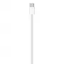 Cable de carga USB-C APPLE (1 m)