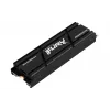 Kingston Technology 1000G RENEGADE PCIe 4.0 NVMe SSD con disipador