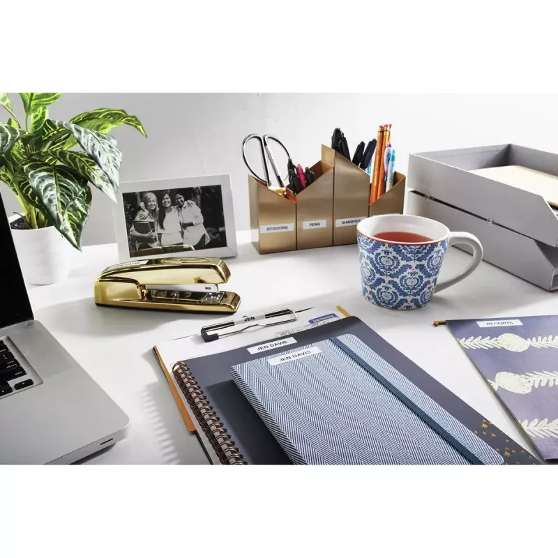 Impresora de etiquetas DYMO LabelManager 160 QWERTZ