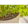 Sistema de riego por goteo Gardena 13400-20 longitud de manguera 15 m negro verde