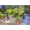 Sistema de riego por goteo Gardena 13400-20 longitud de manguera 15 m negro verde