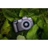 Canon EOS R8 + RF 24-50mm F4.5-6.3 IS STM Kit, 24,2 MP, 6000 x 4000 píxeles, CMOS, 4K Ultra HD, pantalla táctil, negro