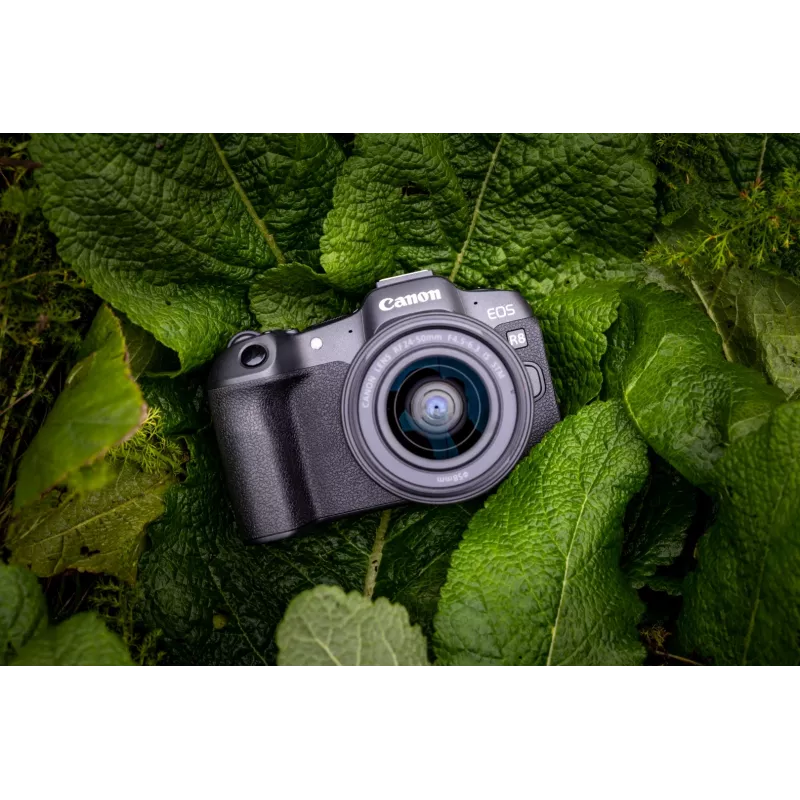 Canon EOS R8 + RF 24-50mm F4.5-6.3 IS STM Kit, 24,2 MP, 6000 x 4000 píxeles, CMOS, 4K Ultra HD, pantalla táctil, negro