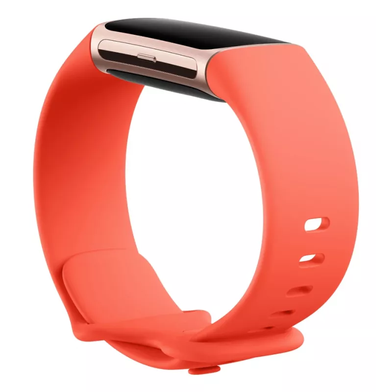 Fitbit Charge 6 Obsidian / Negro Aluminio