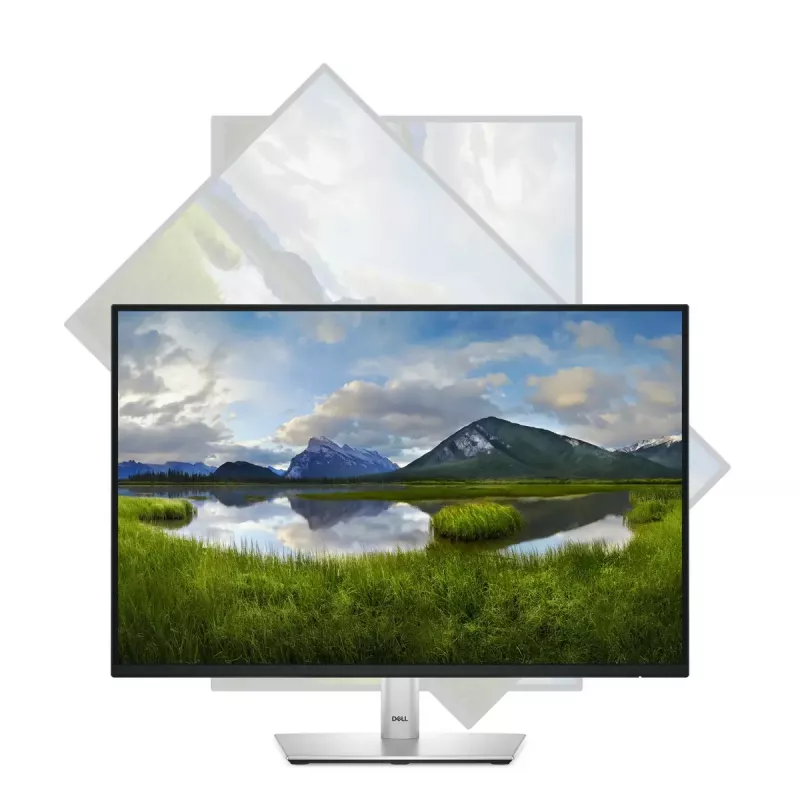DELL Pro Plus P2425 monitor de ordenador 61,1 cm (24,1