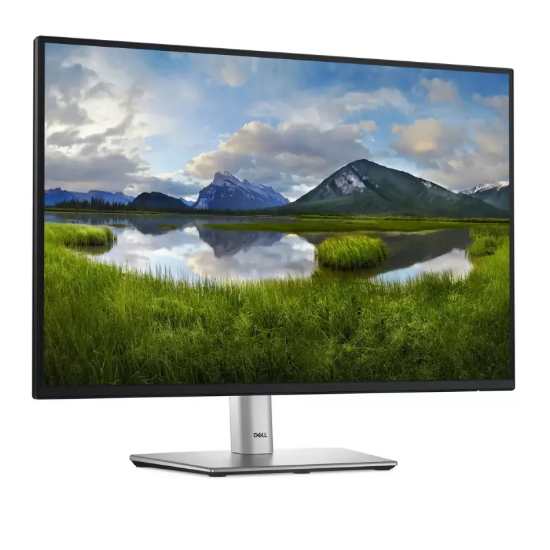 DELL Pro Plus P2425 monitor de ordenador 61,1 cm (24,1
