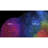 DELL Pro Plus P2425 monitor de ordenador 61,1 cm (24,1
