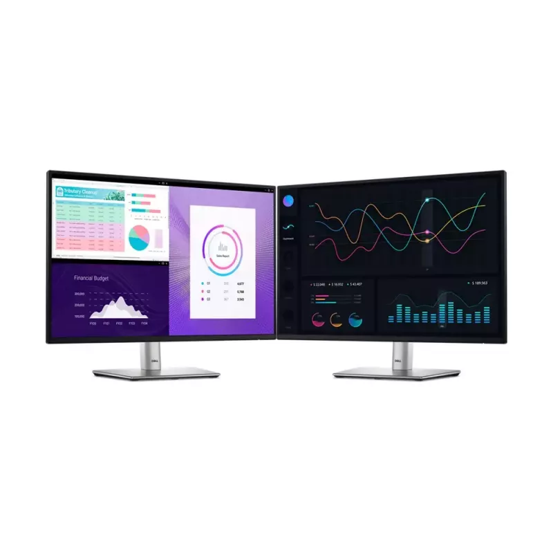 DELL Pro Plus P2425 monitor de ordenador 61,1 cm (24,1