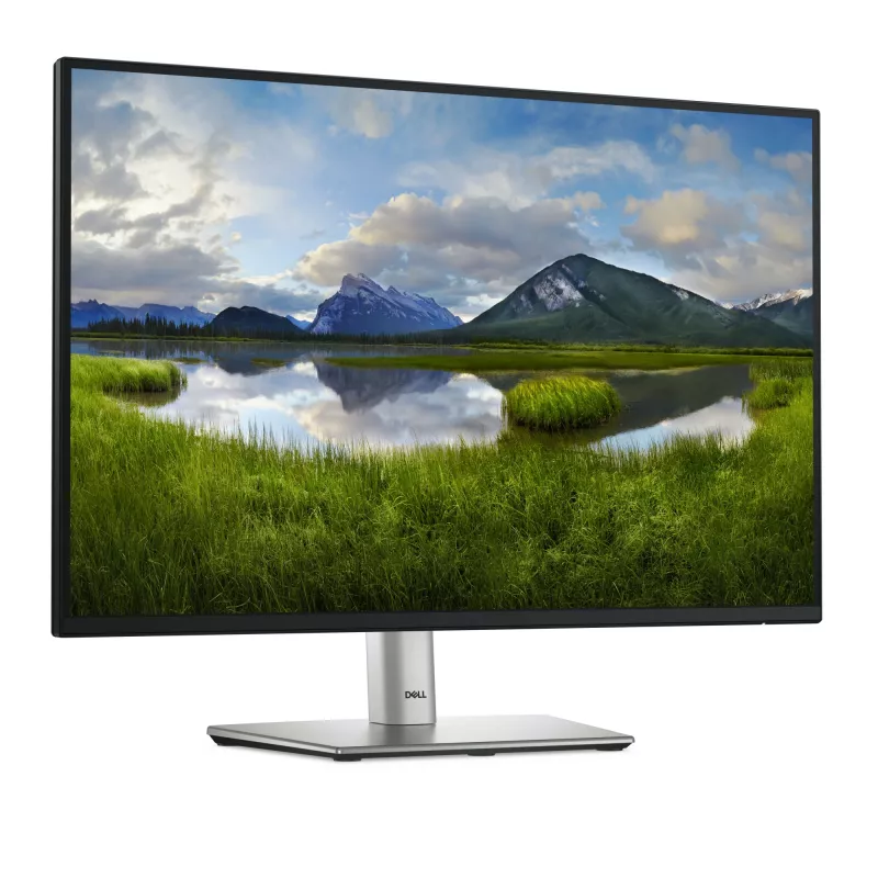 DELL Pro Plus P2425E monitor de ordenador 61,1 cm (24,1