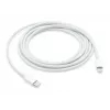 Cable APPLE USB-c a Lightning 2 M