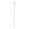 Cable APPLE USB-c a Lightning 2 M