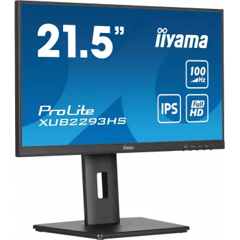 iiyama ProLite XUB2293HS-B6 Monitor de ordenador 54,6 cm (21,5