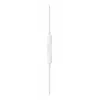 Earpods USB-C APPLE