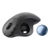 LOGITECH Ergo M575s trackball inalámbrico - Graphite + bola azul