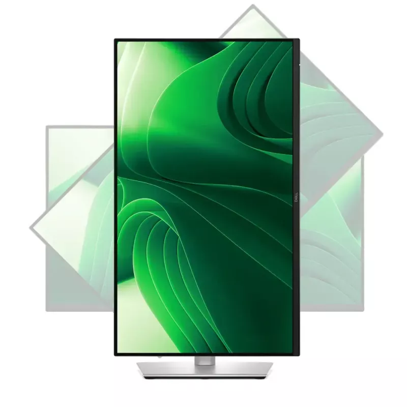 Monitor DELL Pro Plus P2425DE 61 cm (24