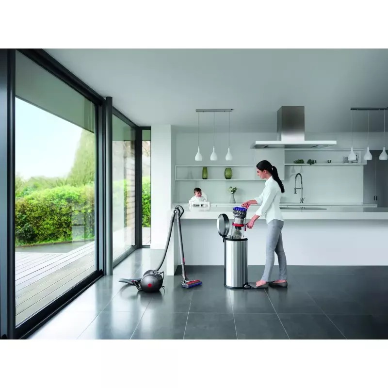 Aspirador de suelo Dyson Big ball Parquet 2
