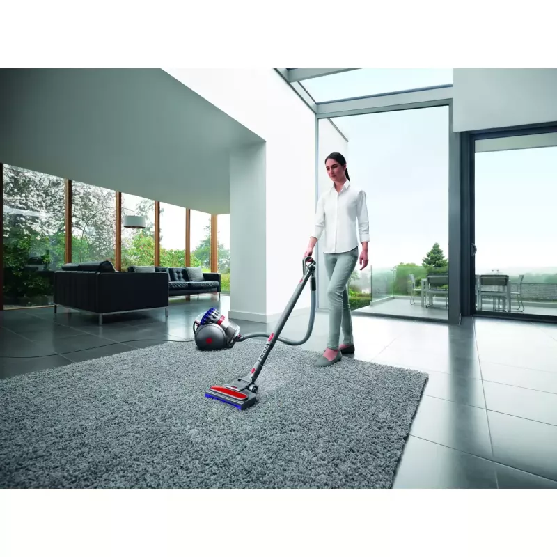 Aspirador de suelo Dyson Big ball Parquet 2