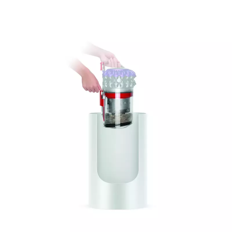 Aspirador de suelo Dyson Big ball Parquet 2