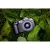 Canon EOS R8, 24,2 MP, 6000 x 4000 píxeles, CMOS, 4K Ultra HD, pantalla táctil, negro