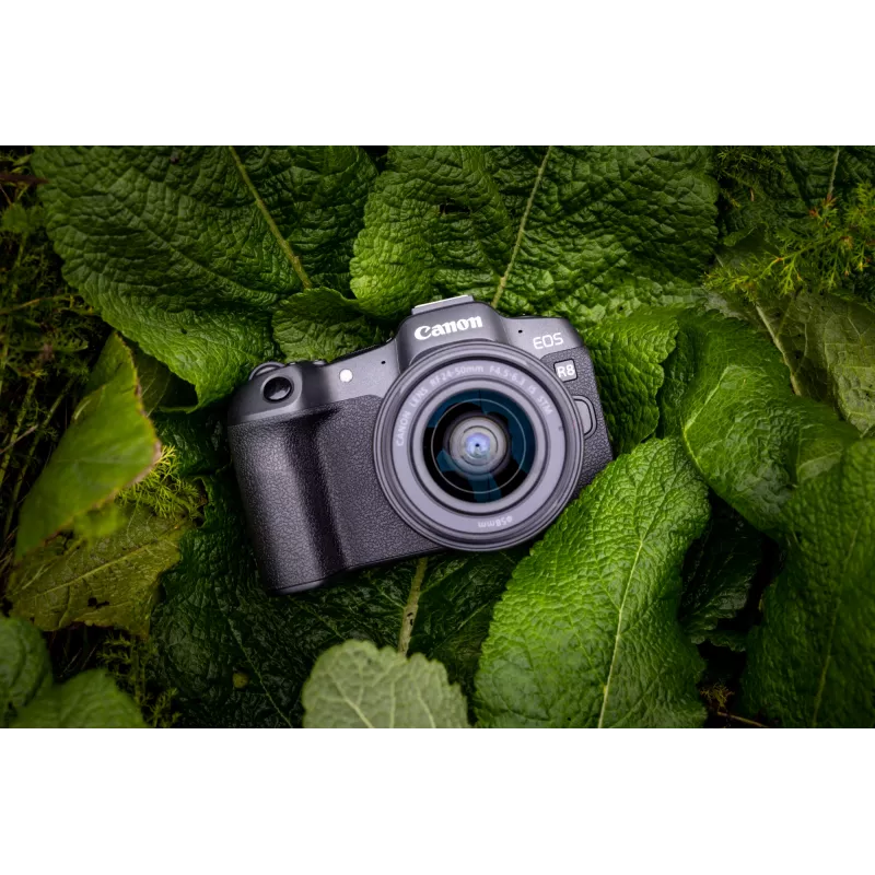 Canon EOS R8, 24,2 MP, 6000 x 4000 píxeles, CMOS, 4K Ultra HD, pantalla táctil, negro