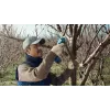 Tijeras cortacésped inalámbricas Bosch Pro Pruner Professional 2,5 cm 12 V ion-litio (Li-Ion) azul
