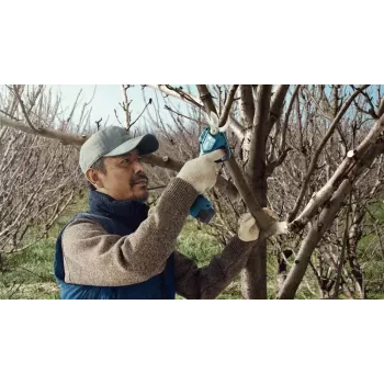 Tijeras cortacésped inalámbricas Bosch Pro Pruner Professional 2,5 cm 12 V ion-litio (Li-Ion) azul