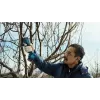 Tijeras cortacésped inalámbricas Bosch Pro Pruner Professional 2,5 cm 12 V ion-litio (Li-Ion) azul