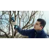 Tijeras cortacésped inalámbricas Bosch Pro Pruner Professional 2,5 cm 12 V ion-litio (Li-Ion) azul