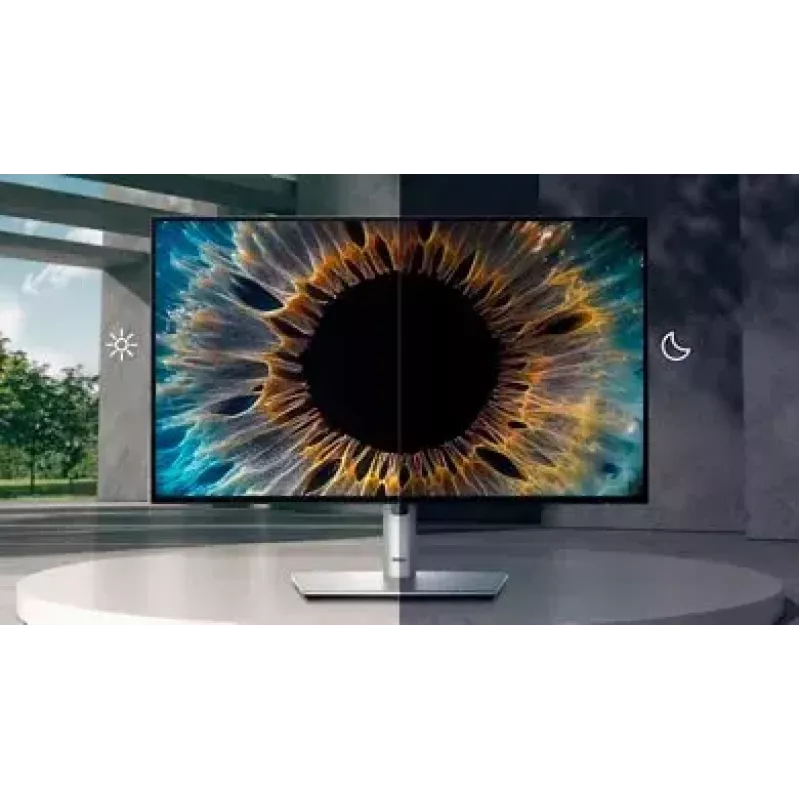 Monitor DELL UltraSharp U2424HE 60,5 cm (23,8