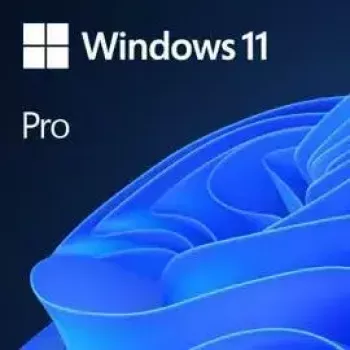 MICROSOFT Windows 11 Pro 64bit - 1 Lic - Win - Todos los idiomas