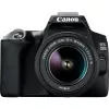 Canon EOS 250D + EF-S 18-55mm f/3.5-5.6 III Cámara réflex Kit 24,1 MP CMOS 6000 x 4000 píxeles Negro