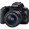 Canon EOS 250D + EF-S 18-55mm f/3.5-5.6 III Cámara réflex Kit 24,1 MP CMOS 6000 x 4000 píxeles Negro