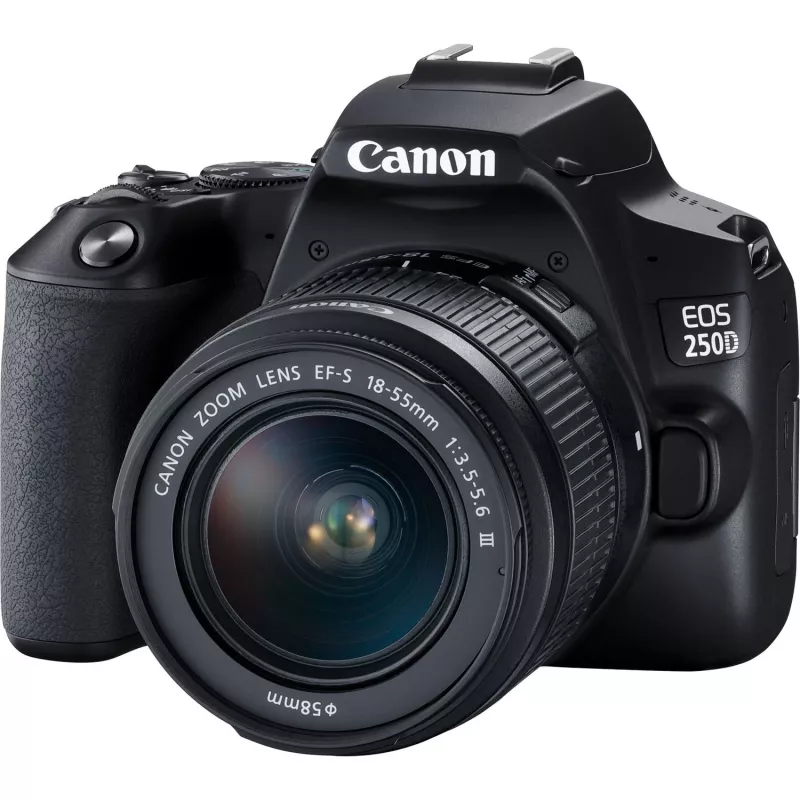 Canon EOS 250D + EF-S 18-55mm f/3.5-5.6 III Cámara réflex Kit 24,1 MP CMOS 6000 x 4000 píxeles Negro