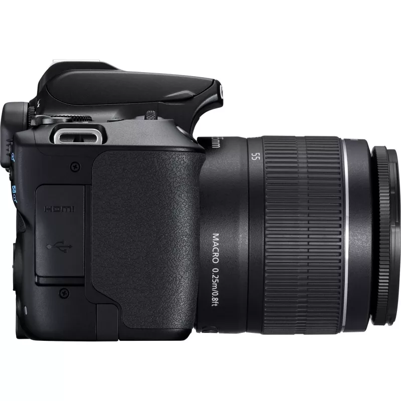 Canon EOS 250D + EF-S 18-55mm f/3.5-5.6 III Cámara réflex Kit 24,1 MP CMOS 6000 x 4000 píxeles Negro