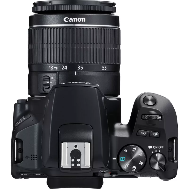 Canon EOS 250D + EF-S 18-55mm f/3.5-5.6 III Cámara réflex Kit 24,1 MP CMOS 6000 x 4000 píxeles Negro