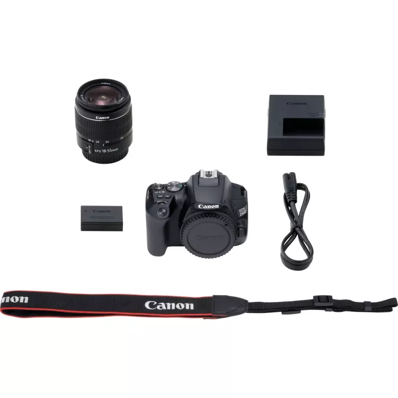 Canon EOS 250D + EF-S 18-55mm f/3.5-5.6 III Cámara réflex Kit 24,1 MP CMOS 6000 x 4000 píxeles Negro