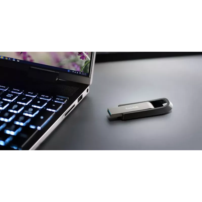WESTERN DIGITAL SanDisk Ultra Extreme GO - 256GB Memoria USB - USB 3.2