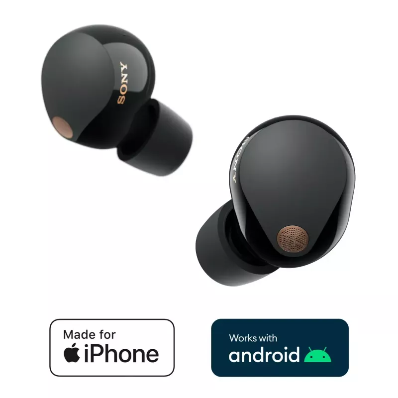 Sony WF-1000XM5 Auricular Inalámbrico In-Ear Llamadas/Música Bluetooth Negro