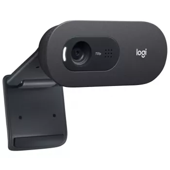 LOGITECH C505e webcam USB negro