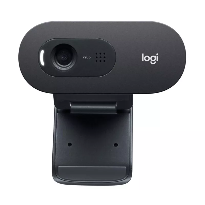LOGITECH C505e webcam USB negro